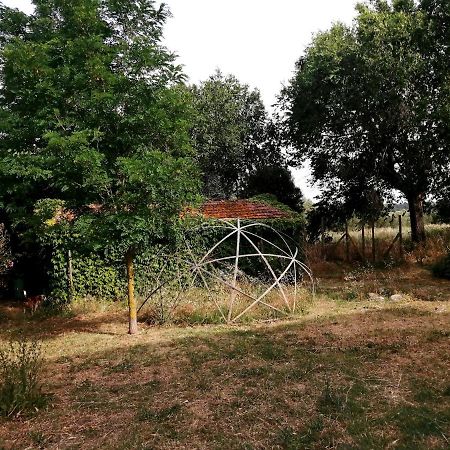 Da Pino Guest House Montemerano Exterior photo