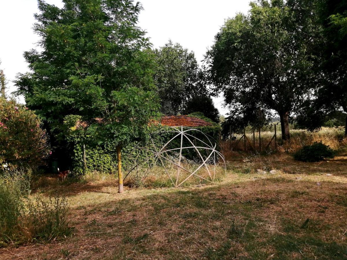 Da Pino Guest House Montemerano Exterior photo