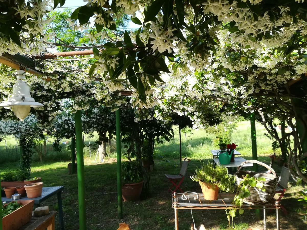 Da Pino Guest House Montemerano Exterior photo